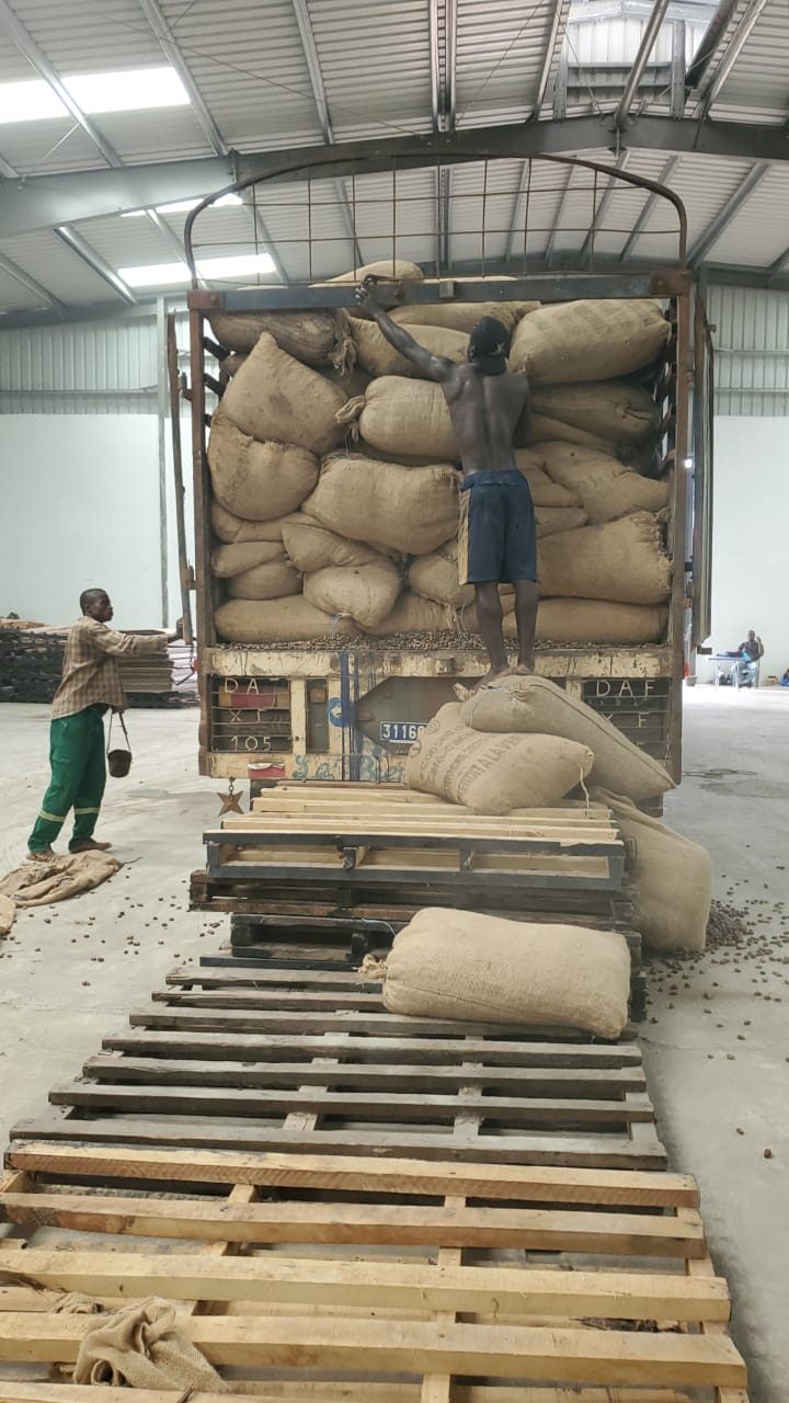 Chargement des sacs de cajou dans un conteneur