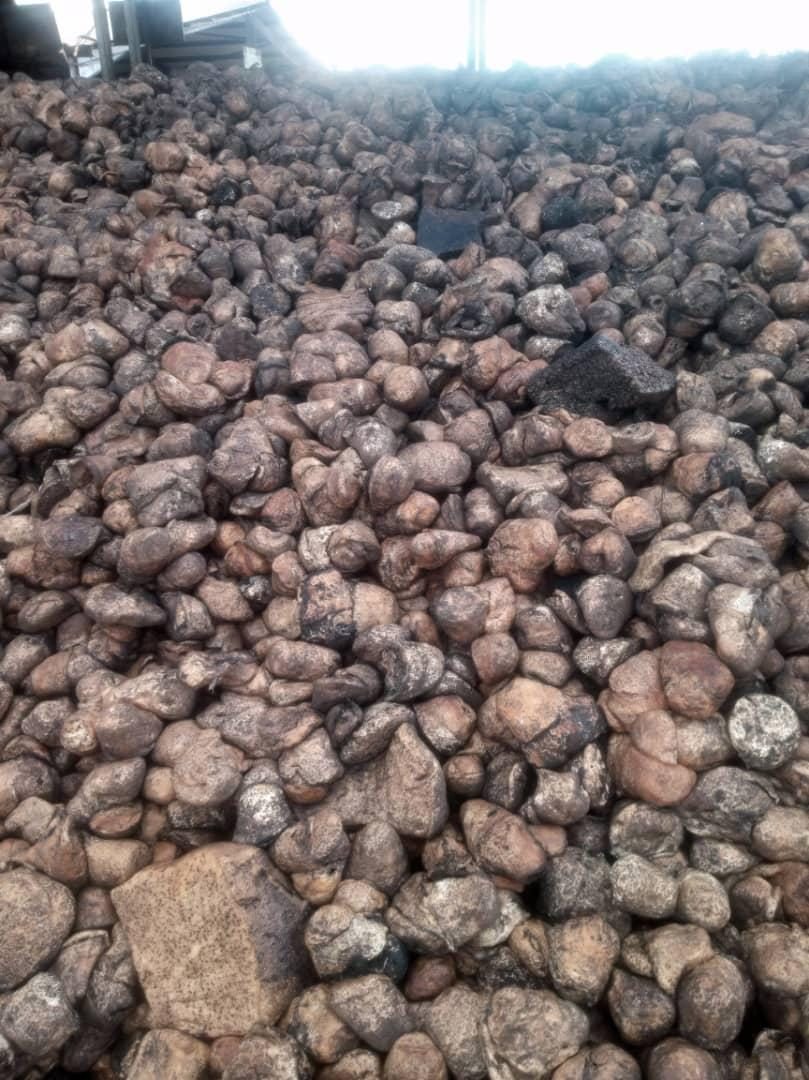 Fonds de tasse d'hévéa coagulés au champ